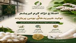 اصلاح نژاد کرم ابریشم و تولید هیبریدهای بومی پربازده با تکیه بر تنها بانک ژن کرم ابریشم کشور