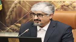 پرداخت نقدی ۹۵ درصد مطالبات کلزاکاران استان فارس برای نخستین بار در کشور