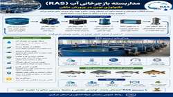 مدار بسته بازچرخانی آب (RAS)