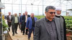 بازدید مدیرعامل شرکت شهرک‌های کشاورزی کشور از شهرک گلخانه‌ای نودهک؛ گامی در مسیر توسعه تولید گلخانه‌ای قزوین