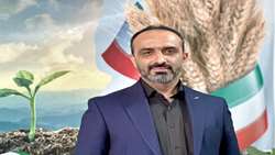 کاهش محسوس آتش‌سوزی بقایای گیاهی در شالیزارهای مازندران/ کاه و کلش به «طلای سفید» دامداران تبدیل شد