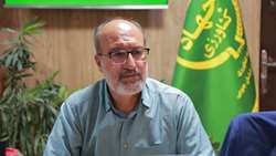 پیش‌بینی برداشت ۱۵ هزار تن انگور از تاکستان‌های خراسان جنوبی