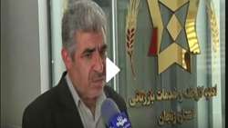 خرید ۱۴۰ هزار تن گندم تا ۲ مردادماه ۱۴۰۵ در استان زنجان