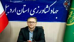 رشد ۶۵ درصدی جوجه‌ریزی در واحدهای مرغداری استان اردبیل در تیرماه ۱۴۰۵