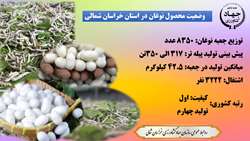 وضعیت محصول نوغان در خراسان شمالی