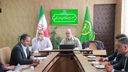 ضرب‌الاجل جهاد کشاورزی خراسان جنوبی برای هویت‌گذاری دام‌ها/خرید و فروش دام بدون پلاک ممنوع شد