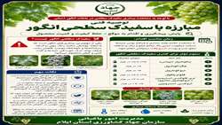 مبارزه شیمیایی با سفیدک سطحی انگور ، قاتل خاموش تاکستانها