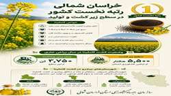 رتبه نخست خراسان شمالی در سطح زیر کشت و تولید کاملینا 