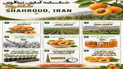   شناسنامه آماری زردآلوی شاهرود