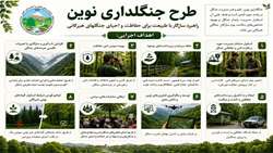  طرح جنگلداری نوین