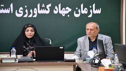 بیمه، سوخت و هزینه‌های تولید؛ سه دغدغه اصلی کشاورزان