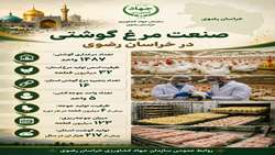 صنعت مرغداری خراسان رضوی در یک نگاه 