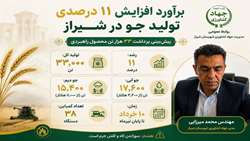 برآورد افزایش ۱۱درصدی تولید جو در شیراز