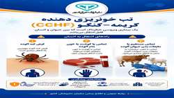 آشنایی با بیماری تب خونریزی دهنده کریمه کنگو CCHF