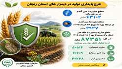 سطح کلی مبارزه با سن گندم و خردل برگ مومی در استان زنجان تا ۱۷ خرداد ۱۴۰۵