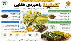 کاملینا