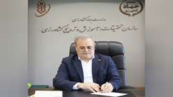 هفته جهاد کشاورزی تجلی بازخوانی حماسه مجاهدان سنگر دانش و سفره مردم