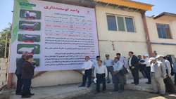 دستاورد مشترک تات و بخش خصوصی برای تقویت امنیت غذایی کشور رونمایی شد/ تولید نسل جدید گوسفندان چندقلوزا و عضله‌زا با فناوری اصلاح نژاد مولکولی