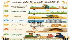 از کاشت گندم تا نان کامل
