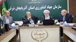 تأمین ۸۵ درصد نیازهای اساسی کشور از تولیدات داخلی