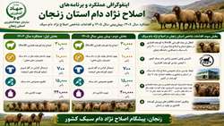 عملکرد و برنامه های اصلاح نژاد دام استان زنجان 