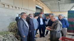 پایانه صادراتی کشاورزی «صاحب سقز» جهشی بزرگ در مسیر توسعه صادرات کردستان