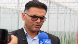 صادرات ۴۰هزار تن محصولات گلخانه ای استان همدان هدف گذاری شد