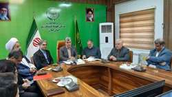 زیر کشت رفتن غالب شالیزارهای گیلان