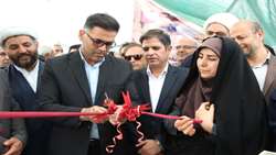 افتتاح گلخانه ۳۶۱۶ متری سبزی و صیفی در همدان 