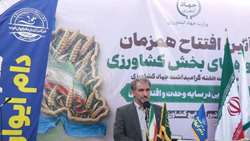 پایان ۲۰ سال انتظار با افتتاح کشتارگاه صنعتی ایوان