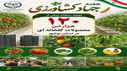 تولید سالانه ۱۲۰هزار تن محصولات گلخانه ای در استان بوشهر 