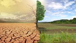 زمین را با مشارکت، دانایی و فرزانگی از نو کنیم