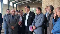 حمایت از تولیدکنندگان بذر، تضمین‌کننده امنیت غذایی کشور است