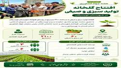 افتتاح گلخانه تولید سبزی و صیفی در تویسرکان