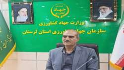 خرید بیش از دو هزار تن کلزا و ۳۰۰ تن کاملینا در لرستان
