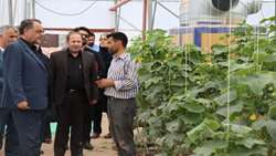 جهاد کشاورزی محور تاب‌آوری و امنیت غذایی جامعه 