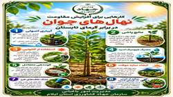 اقدامات باغداران برای افزایش مقاومت نهال های جوان در برابر گرمای تابستان 