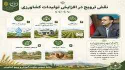 طرحهای ملی ترویجی و نقش آنها در ارتقاء بهره وری برای افزایش تولیدات  
