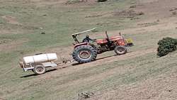 تداوم عملیات پایش و مبارزه با آفت «ملخ مراکشی» در اراضی کشاورزی 