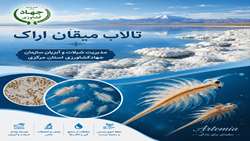 ارزش شیلات آرتمیا در تغذیه آبزیان 
