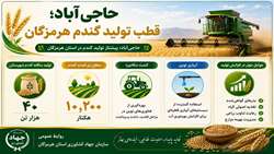 حاجی آباد، قطب مهم تولید گندم  استان هرمزگان 
