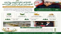  افتتاح نخستین واحد پرورش مرغ مادر گوشتی در سیستان و بلوچستان