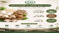وضعیت تولید قارچ خوراکی در استان خراسان شمالی 