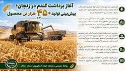پیش بینی تولید ۴۵۰ هزارتن  گندم در زنجان