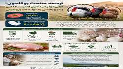 توسعه صنعت بوقلمون؛ گامی مؤثر در تأمین امنیت غذایی و تنوع‌بخشی به تولیدات پروتئینی