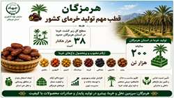 هرمزگان قطب تولید خرما در کشور 