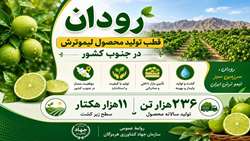 شهرستان رودان قطب مهم تولید لیموترش در کشور 
