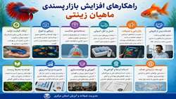 راهکار های افزایش بازار پسندی 