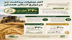 پیش‌بینی برداشت ۳۴۰ هزار تن جو از اراضی کشاورزی همدان