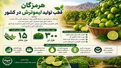 هرمزگان قطب تولید محصول لیموترش در کشور